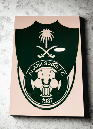 Alahli Asian champion frame